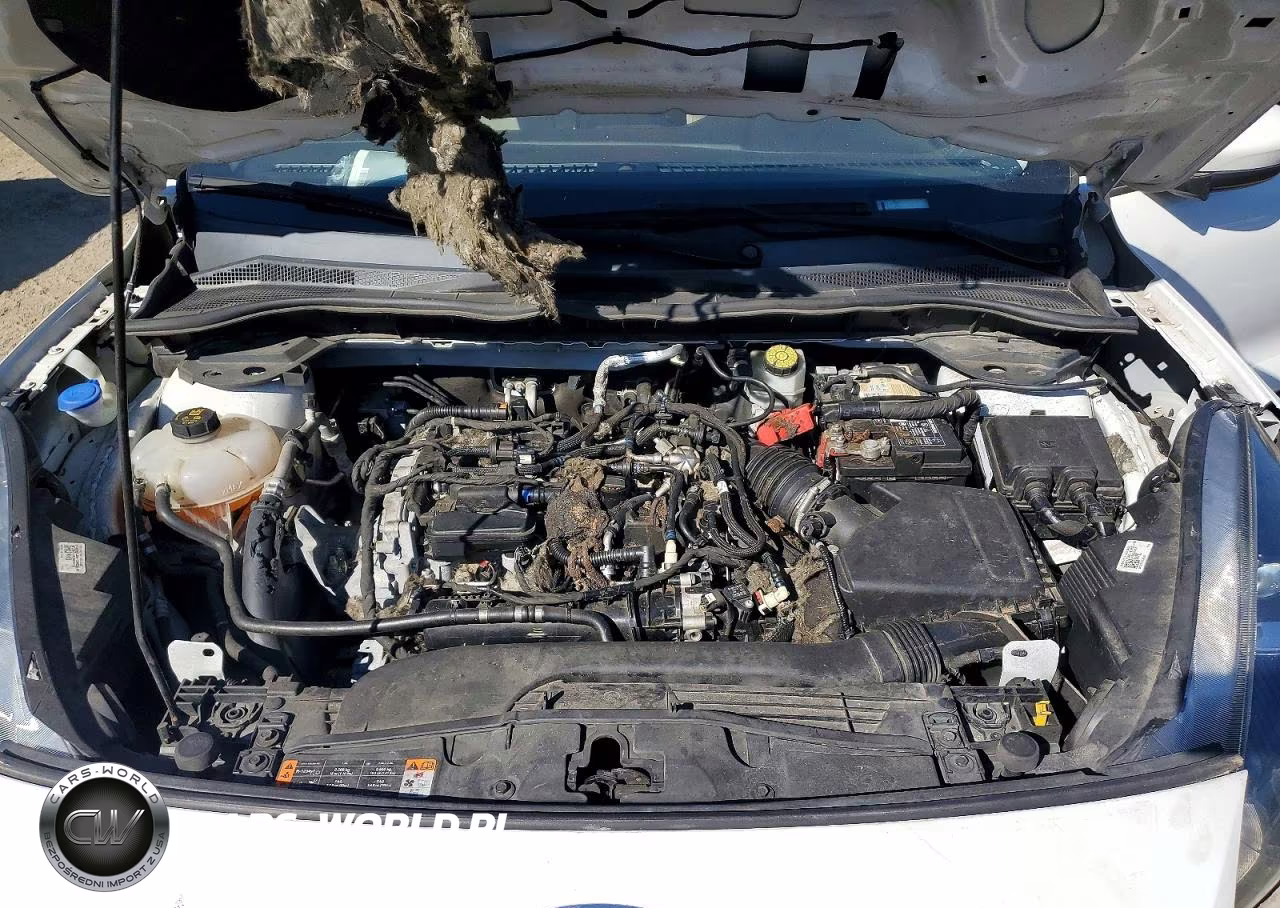 2021 Ford Escape Sel VIN:1FMCU0H60MUA63474 - 12