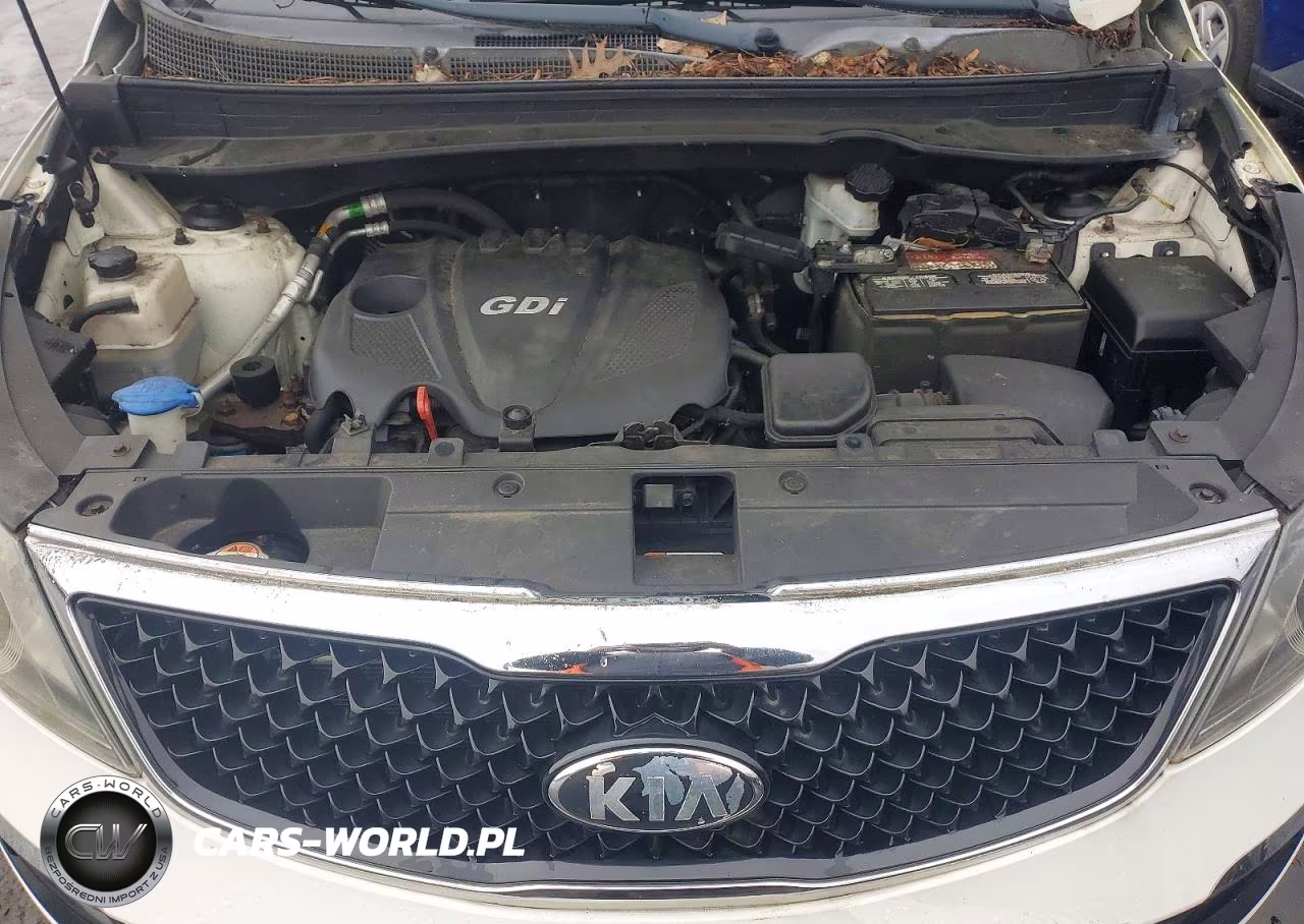 2014 Kia Sportage Lx VIN:KNDPBCAC6E7601141 - 12