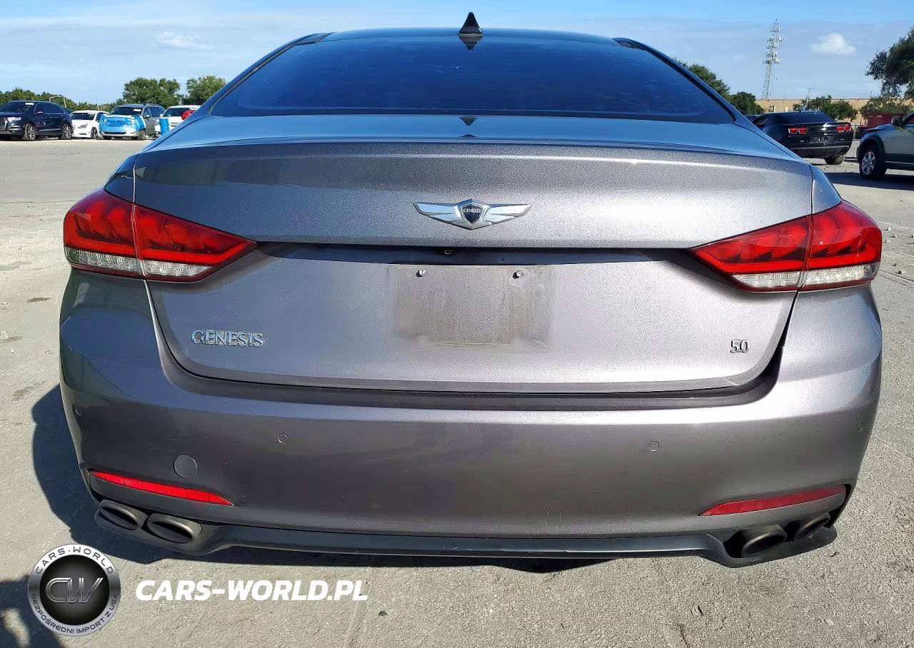 2015 Hyundai Genesis 5.0L VIN:KMHGN4JF2FU036098 - 6