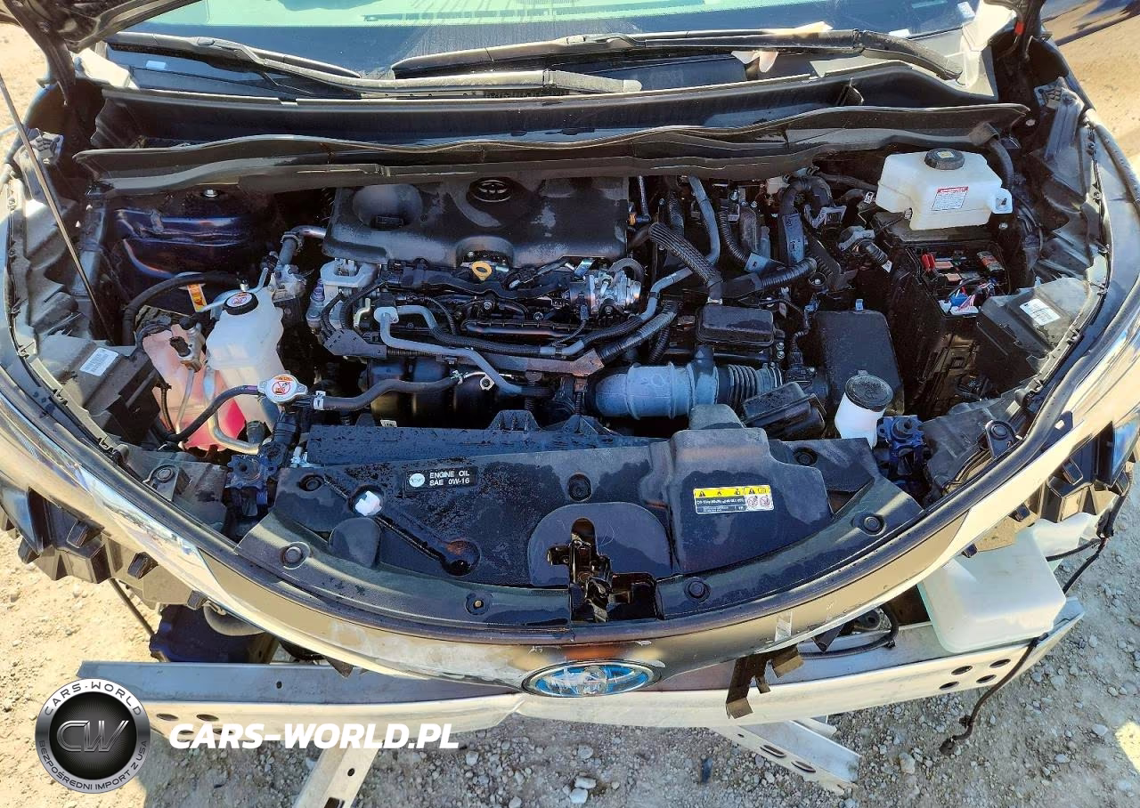 2025 Toyota Sienna Xle 8-Passenger VIN:5TDYRKEC6SS256098 - 12