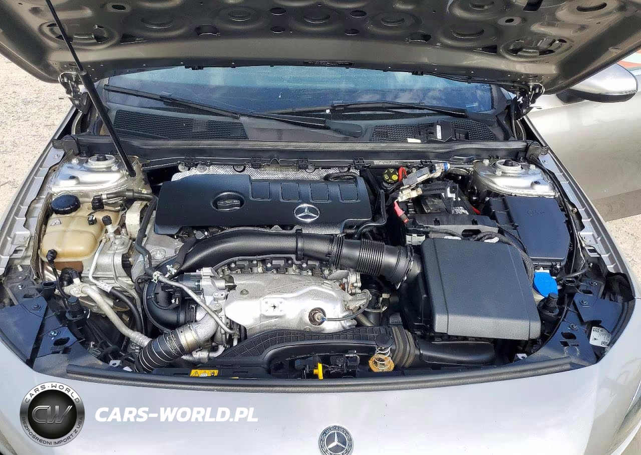 2019 Mercedes-Benz A 220 VIN:WDD3G4EB1KW005367 - 11