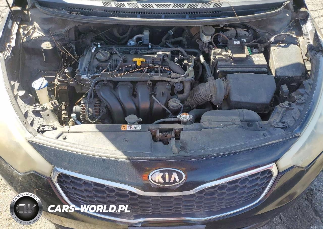 2014 Kia Forte Lx VIN:KNAFK4A61E5091365 - 11