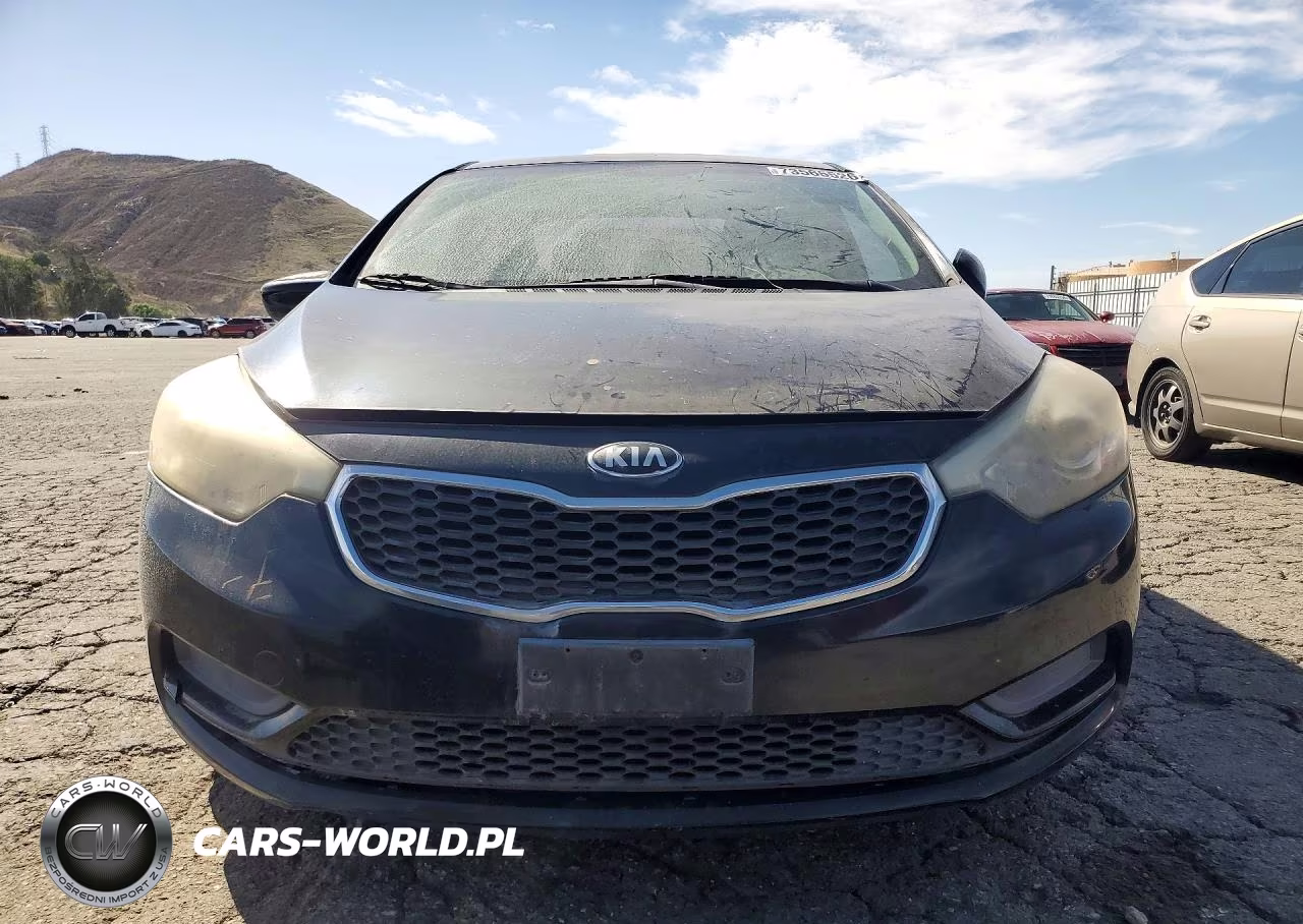 2014 Kia Forte Lx VIN:KNAFK4A61E5091365 - 5