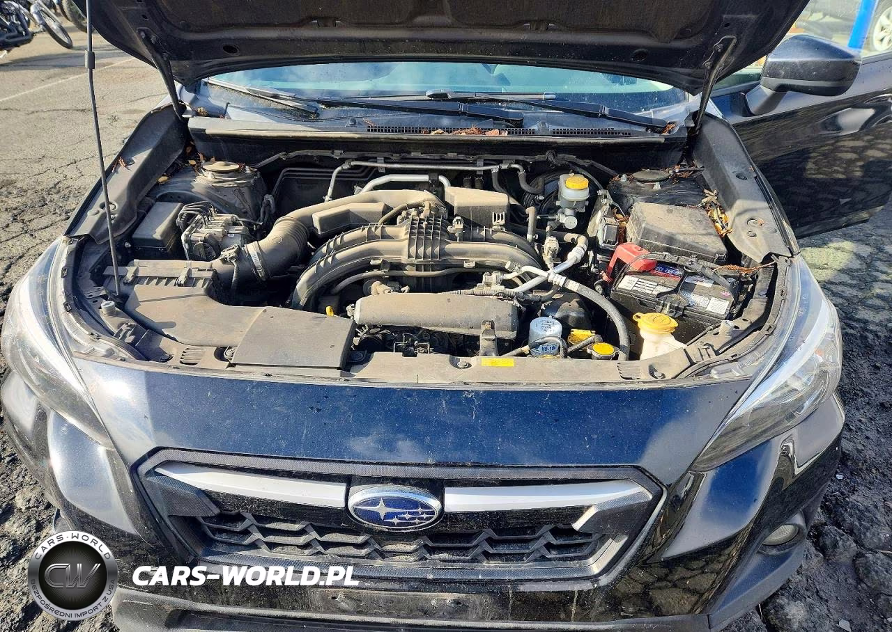 2019 Subaru Crosstrek Premium VIN:JF2GTAEC2K8282890 - 12