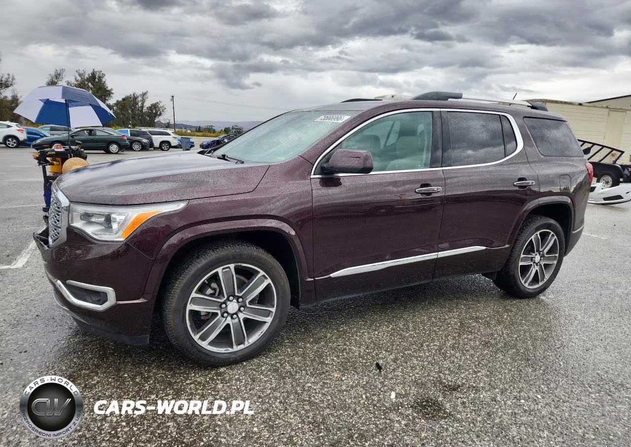 2017 GMC Acadia Denali VIN:1GKKNPLS9HZ233483 - 1