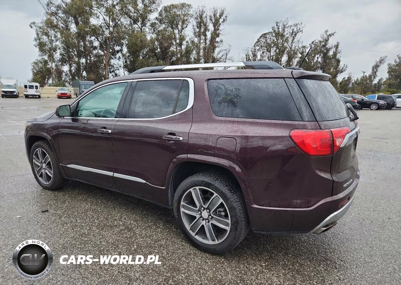 2017 GMC Acadia Denali VIN:1GKKNPLS9HZ233483 - 2