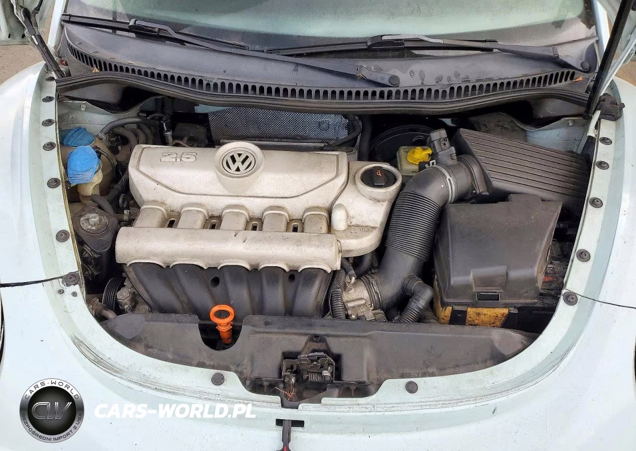 2006 Volkswagen New Beetle Convertible VIN:3VWPF31Y96M307785 - 11