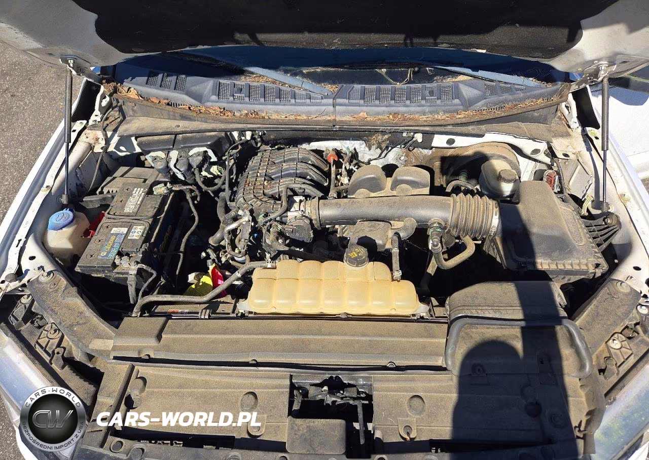 2018 Ford F150 VIN:1FTMF1CB0JKC97666 - 11