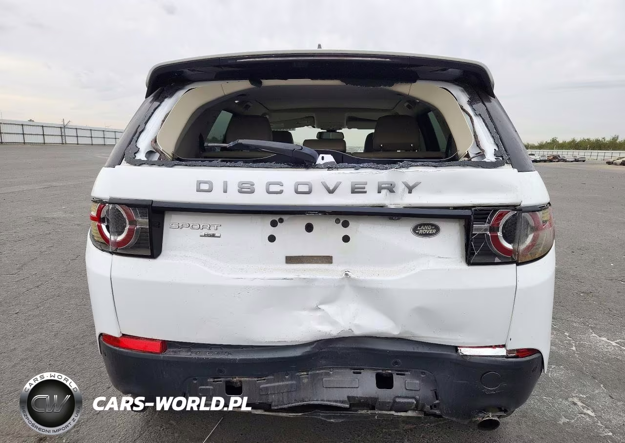2019 Land Rover Discovery Sport Hse-Landmark Edition VIN:SALCR2FX3KH811615 - 6