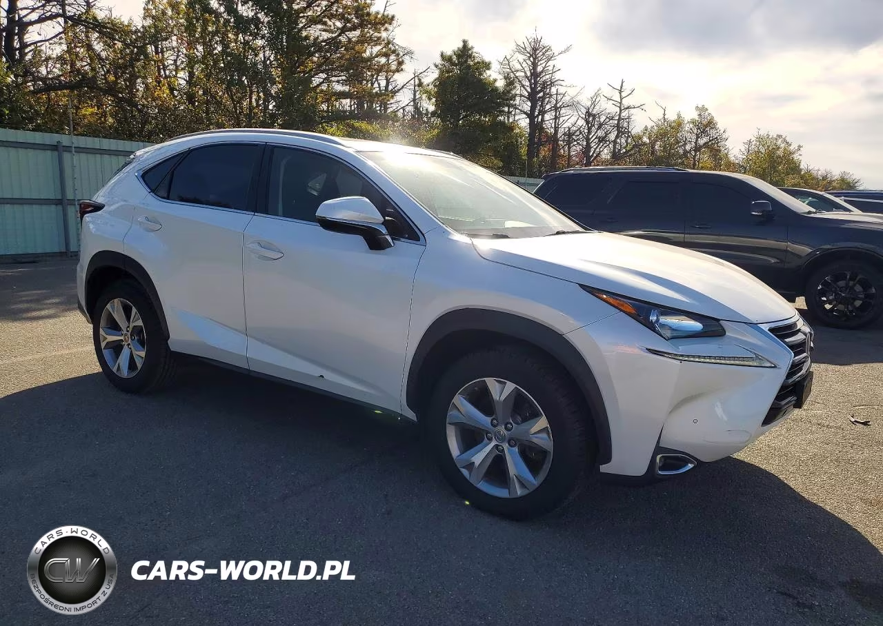 2017 Lexus Nx 200T Base VIN:JTJBARBZ2H2128131 - 4