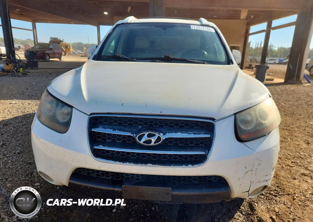 2007 Hyundai Santa Fe Se VIN:5NMSH13E27H029850 - 5