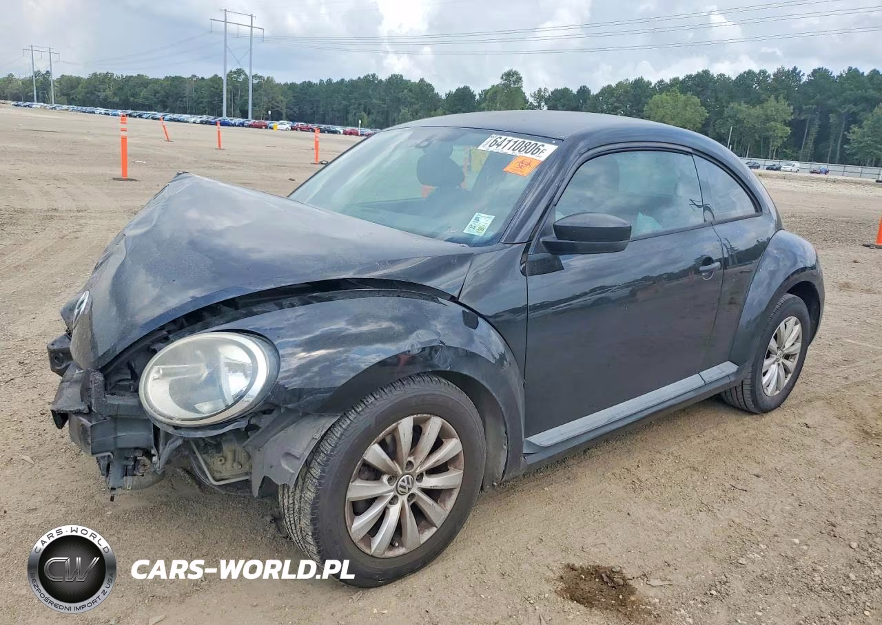 2013 Volkswagen Beetle Dune Buggy VIN:3VWFP7AT6DM631956 - 1