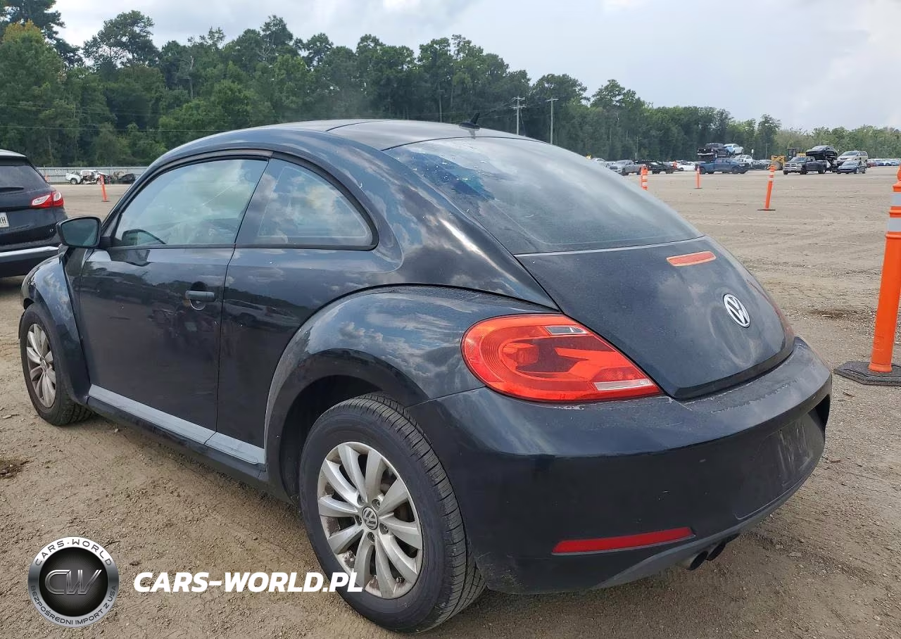 2013 Volkswagen Beetle Dune Buggy VIN:3VWFP7AT6DM631956 - 2