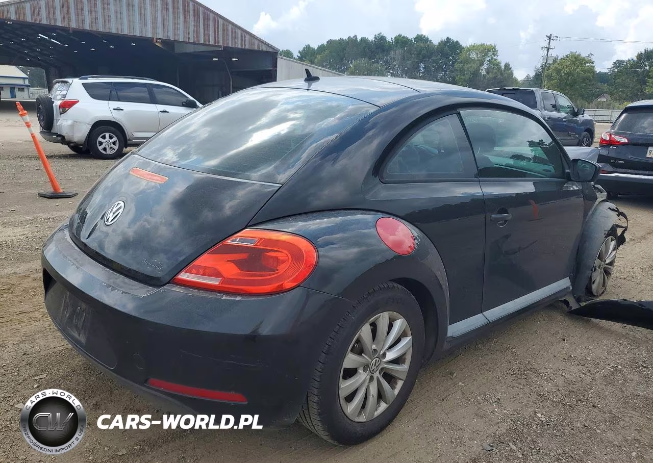 2013 Volkswagen Beetle Dune Buggy VIN:3VWFP7AT6DM631956 - 3