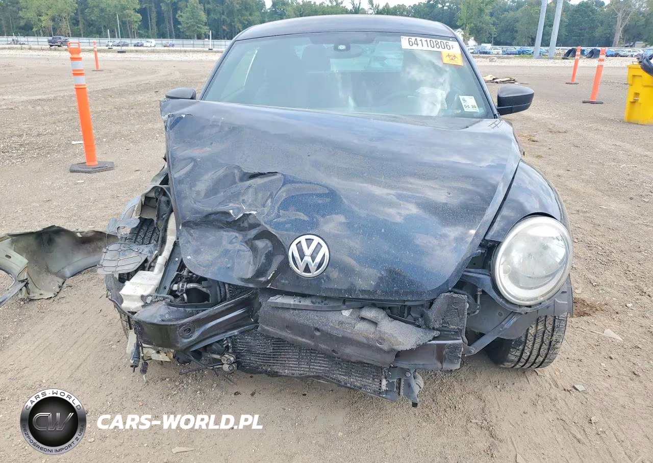 2013 Volkswagen Beetle Dune Buggy VIN:3VWFP7AT6DM631956 - 5