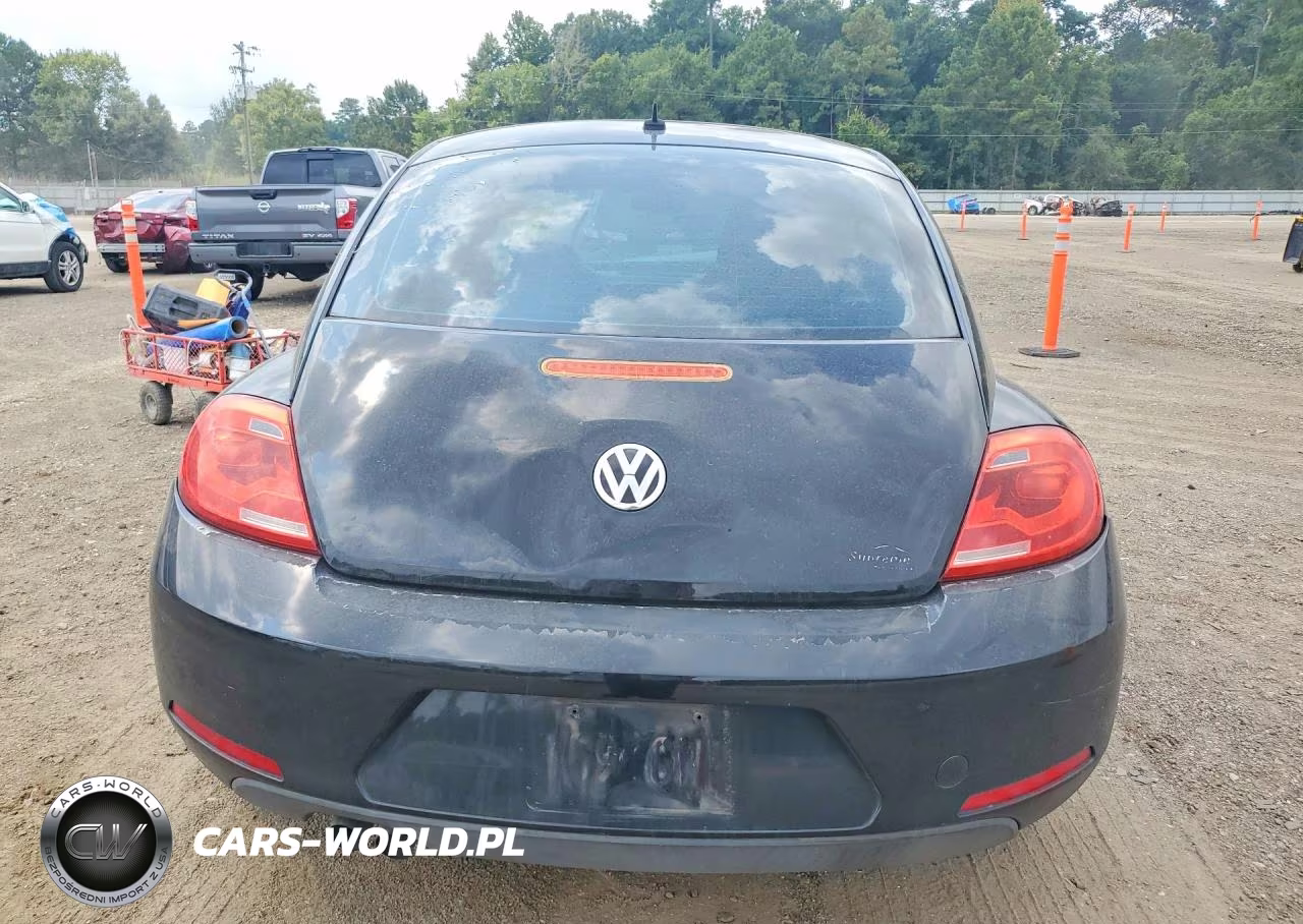 2013 Volkswagen Beetle Dune Buggy VIN:3VWFP7AT6DM631956 - 6