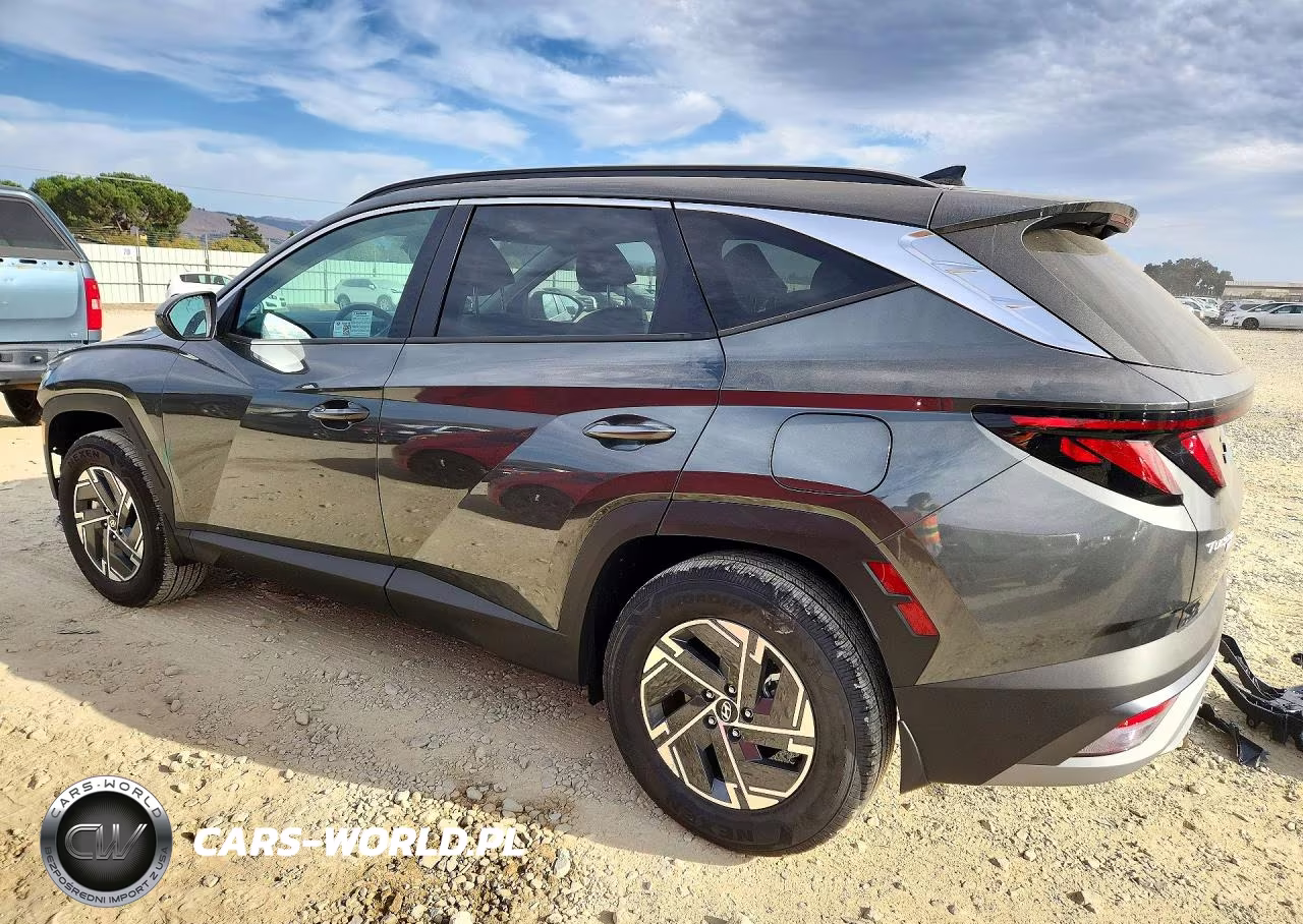 2025 Hyundai Tucson Blue VIN:KM8JBDD16SU375522 - 2