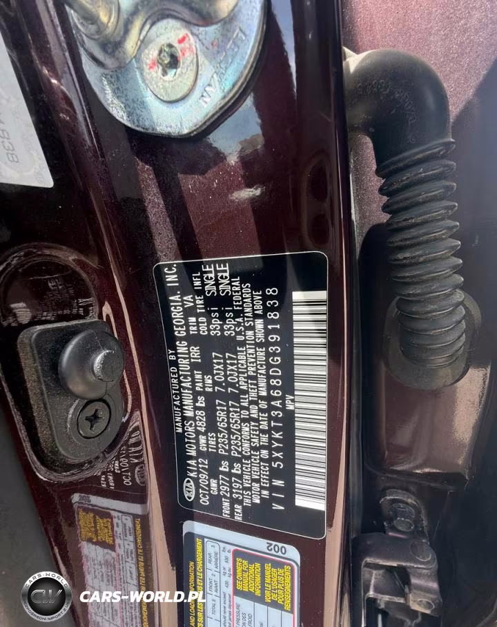 2013 Kia Sorento Lx VIN:5XYKT3A68DG391838 - 10