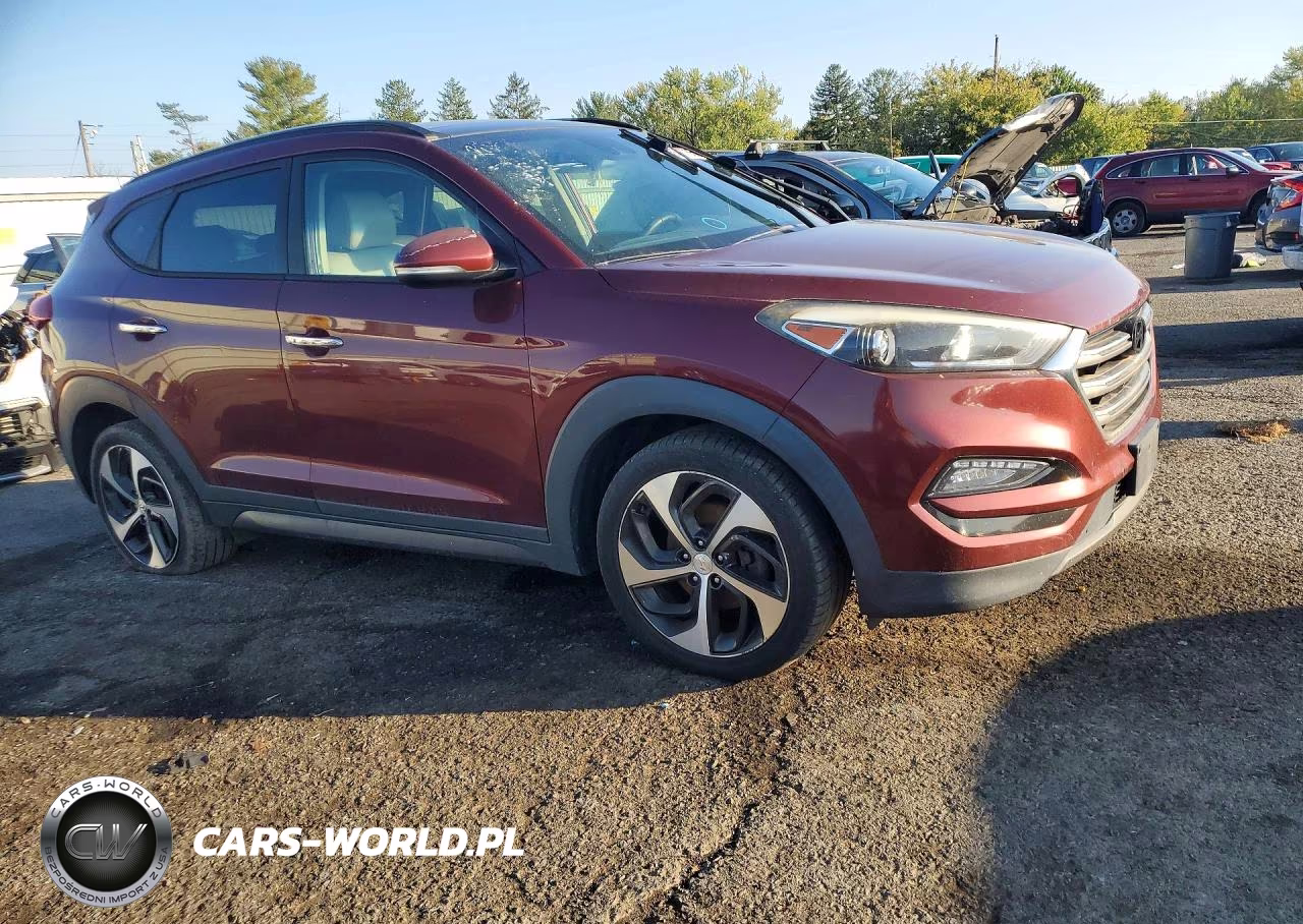 2016 Hyundai Tucson Limited VIN:KM8J3CA22GU070434 - 4