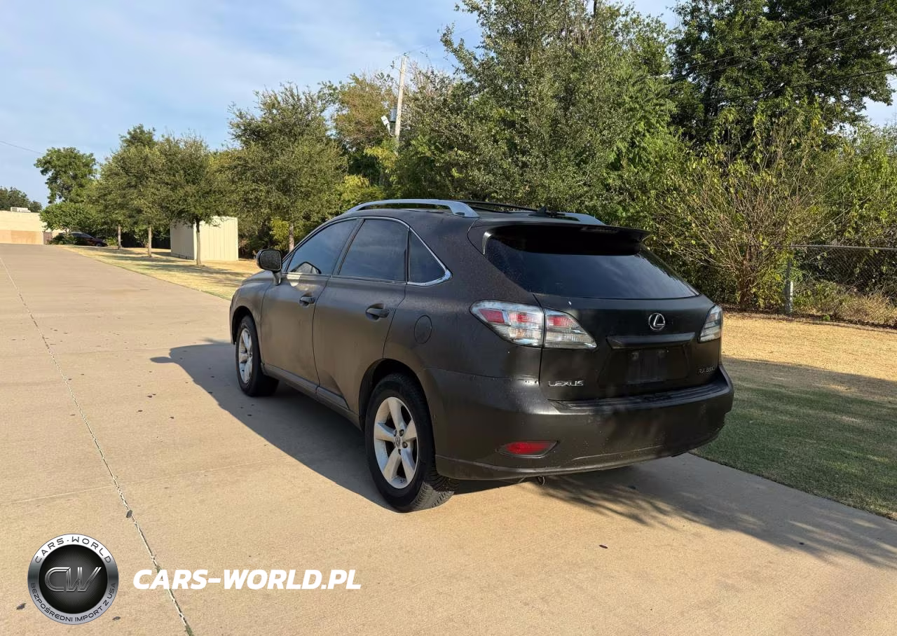 2010 Lexus Rx 350 VIN:JTJBK1BA5A2411959 - 3