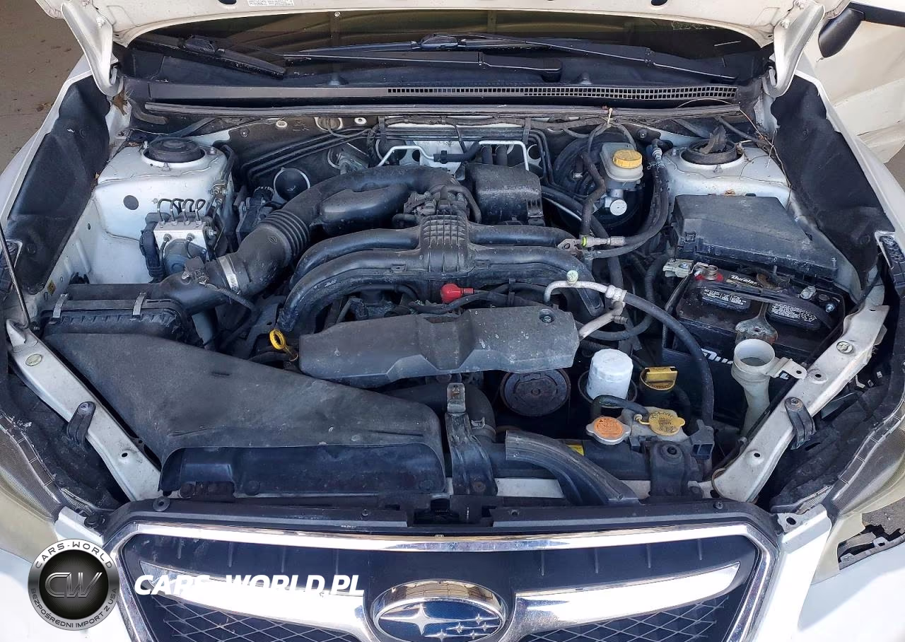 2013 Subaru Xv Crosstrek 2.0 Premium VIN:JF2GPACC2DH871142 - 11
