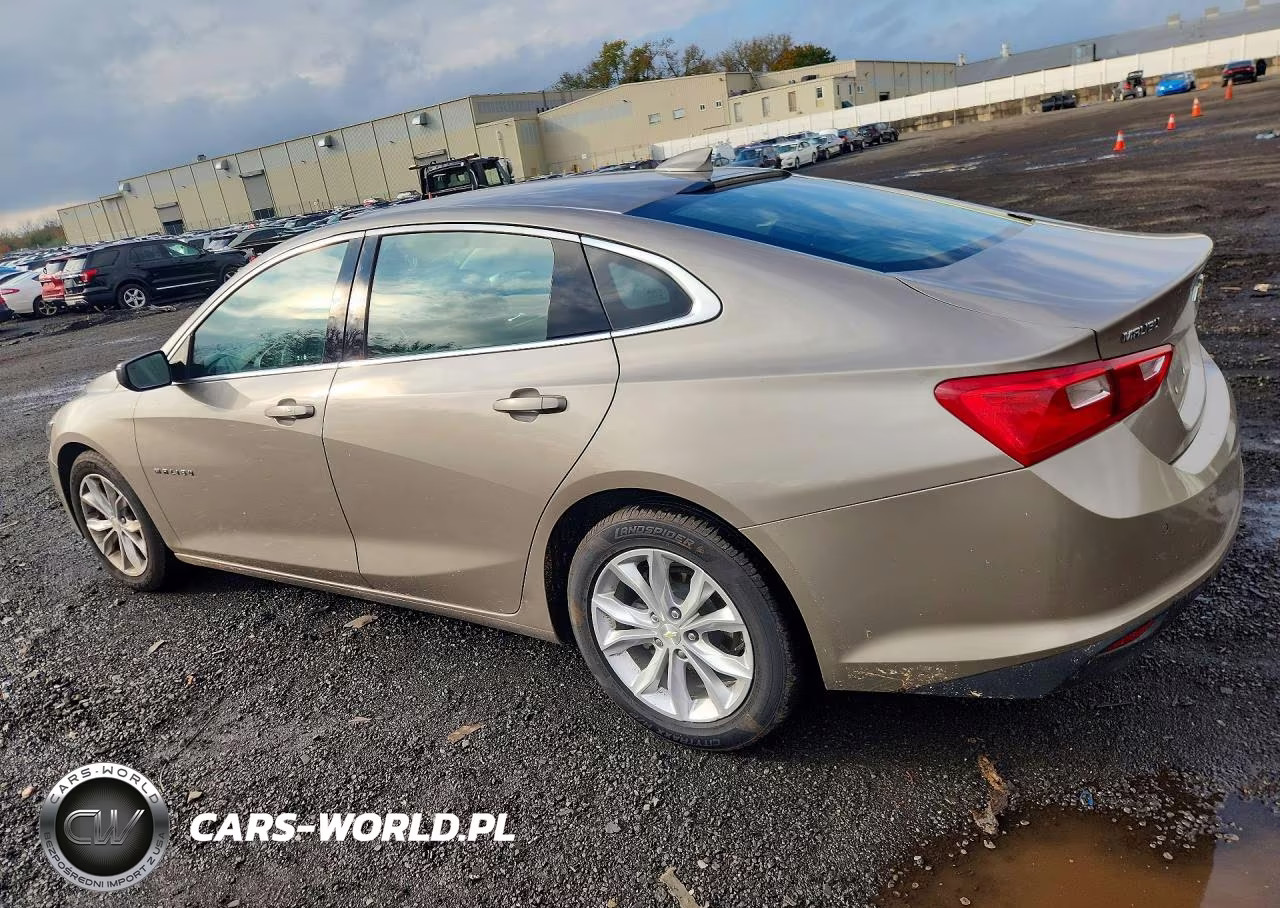 2023 Chevrolet Malibu Lt VIN:1G1ZD5ST6PF134978 - 2