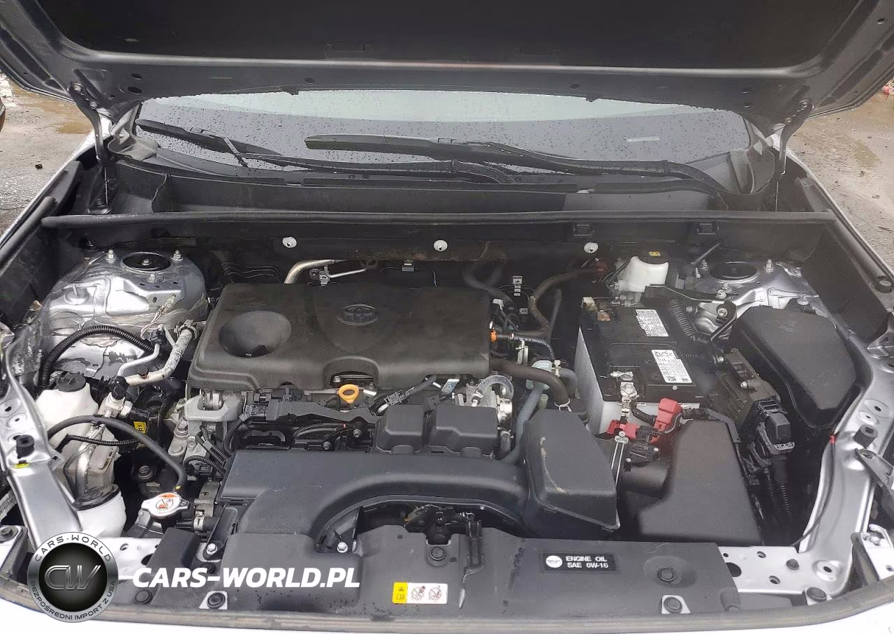 2025 Toyota Rav4 Xle VIN:2T3P1RFV7SC536589 - 12
