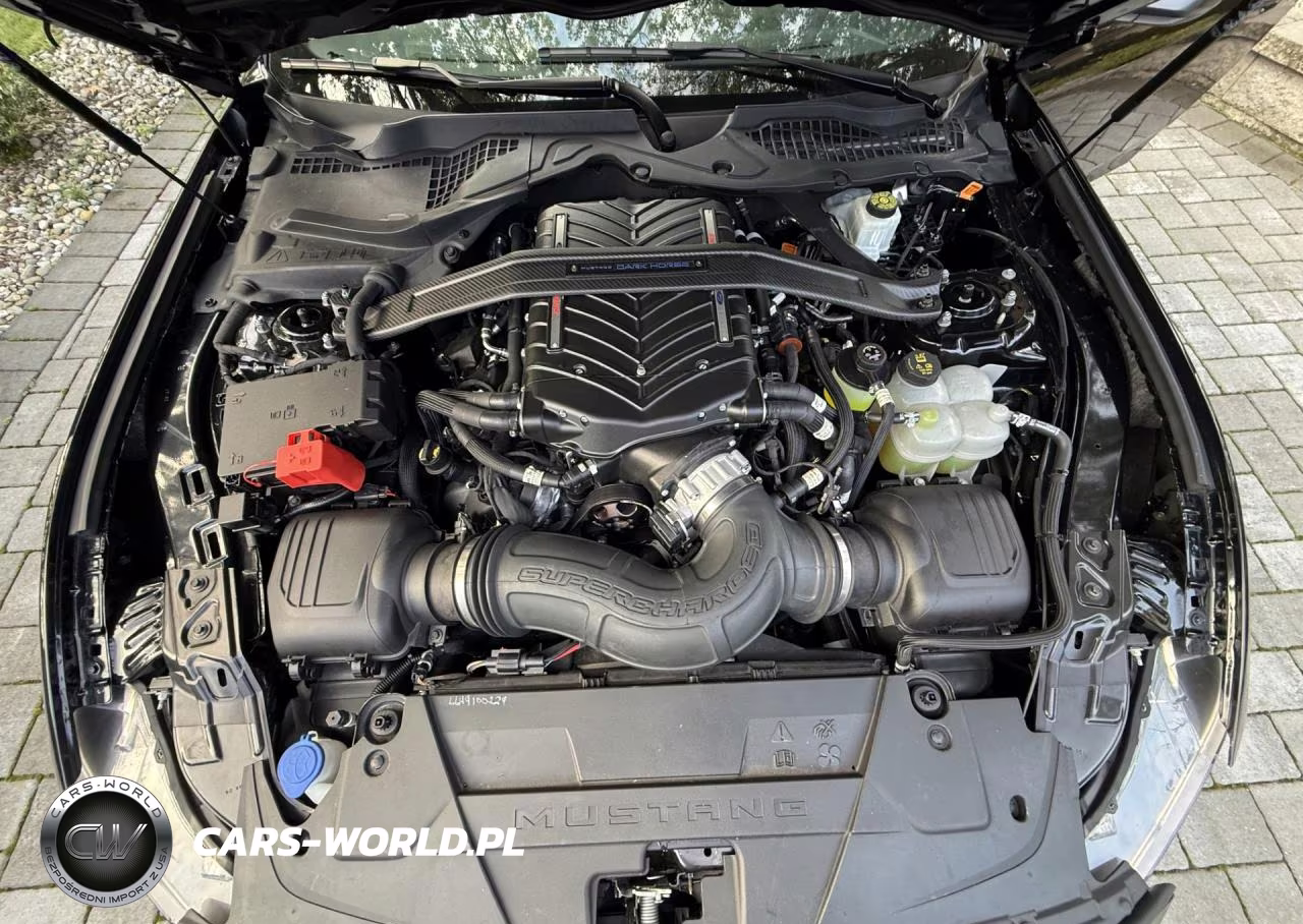 2024 Ford Mustang Dark Horse VIN:1FA6P8R00R5506716 - 9