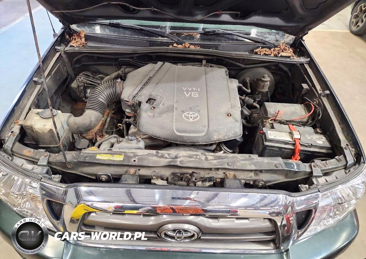 2009 Toyota Tacoma V6 VIN:3TMLU42N19M020401 - 11