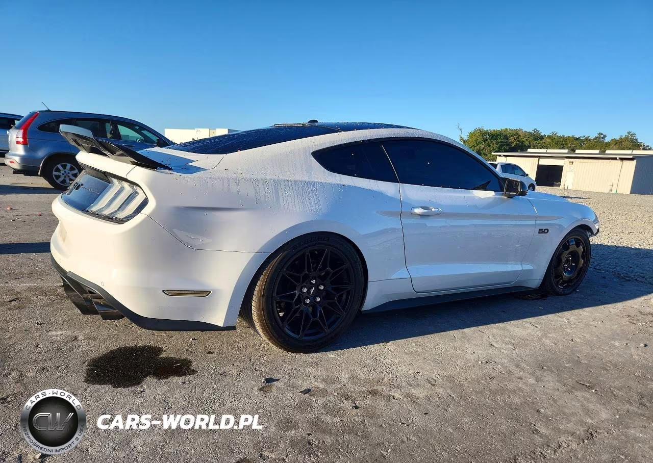 2018 Ford Mustang Gt VIN:1FA6P8CF7J5183301 - 3
