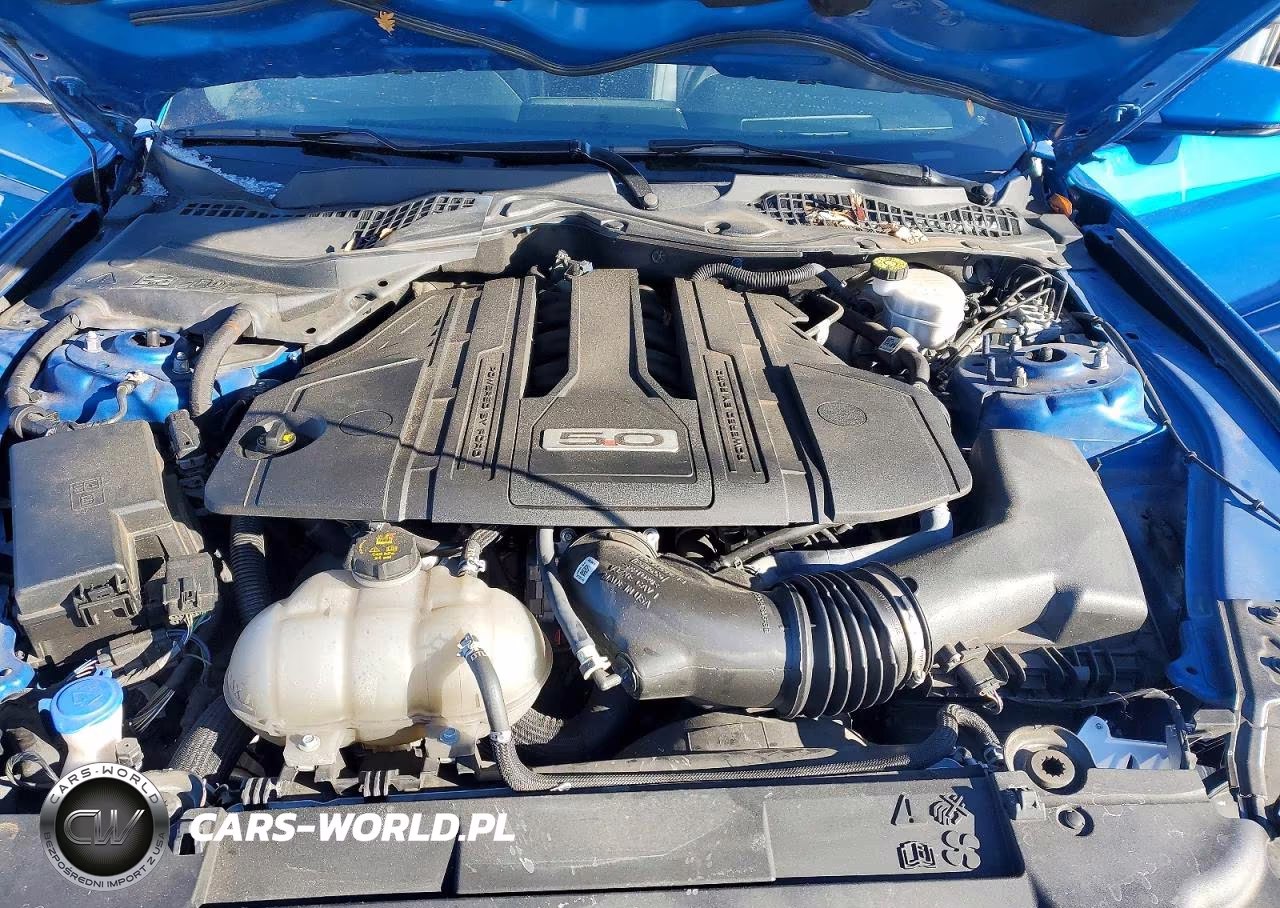 2021 Ford Mustang Gt VIN:1FA6P8CF7M5137875 - 11