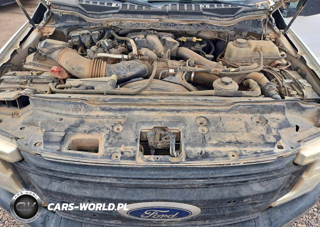 2019 Ford F350 Super Duty VIN:1FD7W3BT6KED19586 - 12
