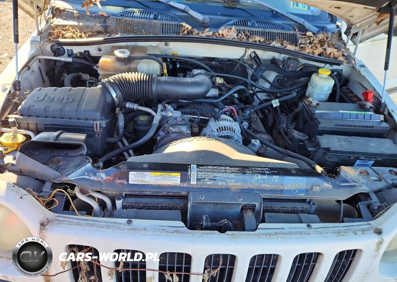 2004 Jeep Liberty Sport VIN:1J4GL48KX4W109839 - 12