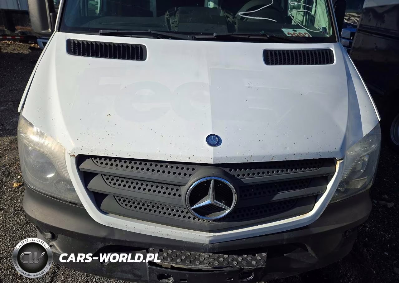 2014 Mercedes-Benz Sprinter 2500 VIN:WD3PE8DE3E5821635 - 12
