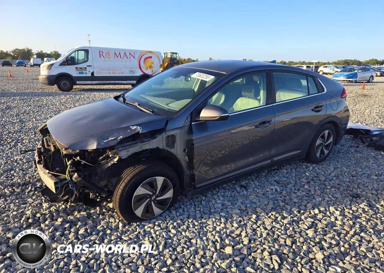 2019 Hyundai Ioniq Sel VIN:KMHC75LC2KU118795 - 1