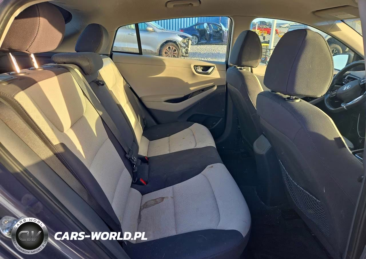 2019 Hyundai Ioniq Sel VIN:KMHC75LC2KU118795 - 10