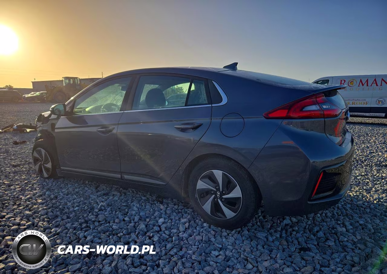 2019 Hyundai Ioniq Sel VIN:KMHC75LC2KU118795 - 2