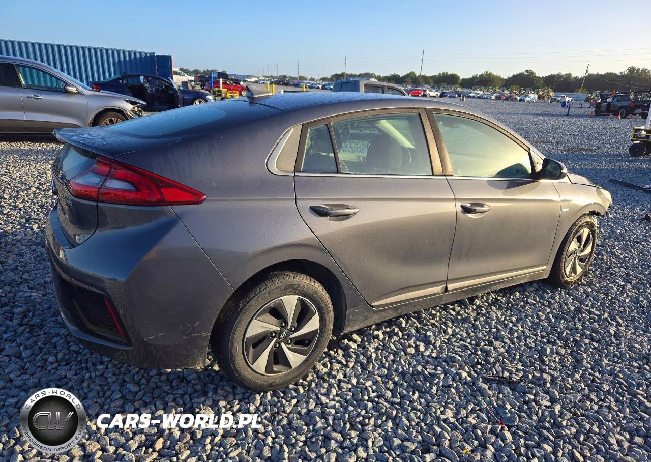 2019 Hyundai Ioniq Sel VIN:KMHC75LC2KU118795 - 3