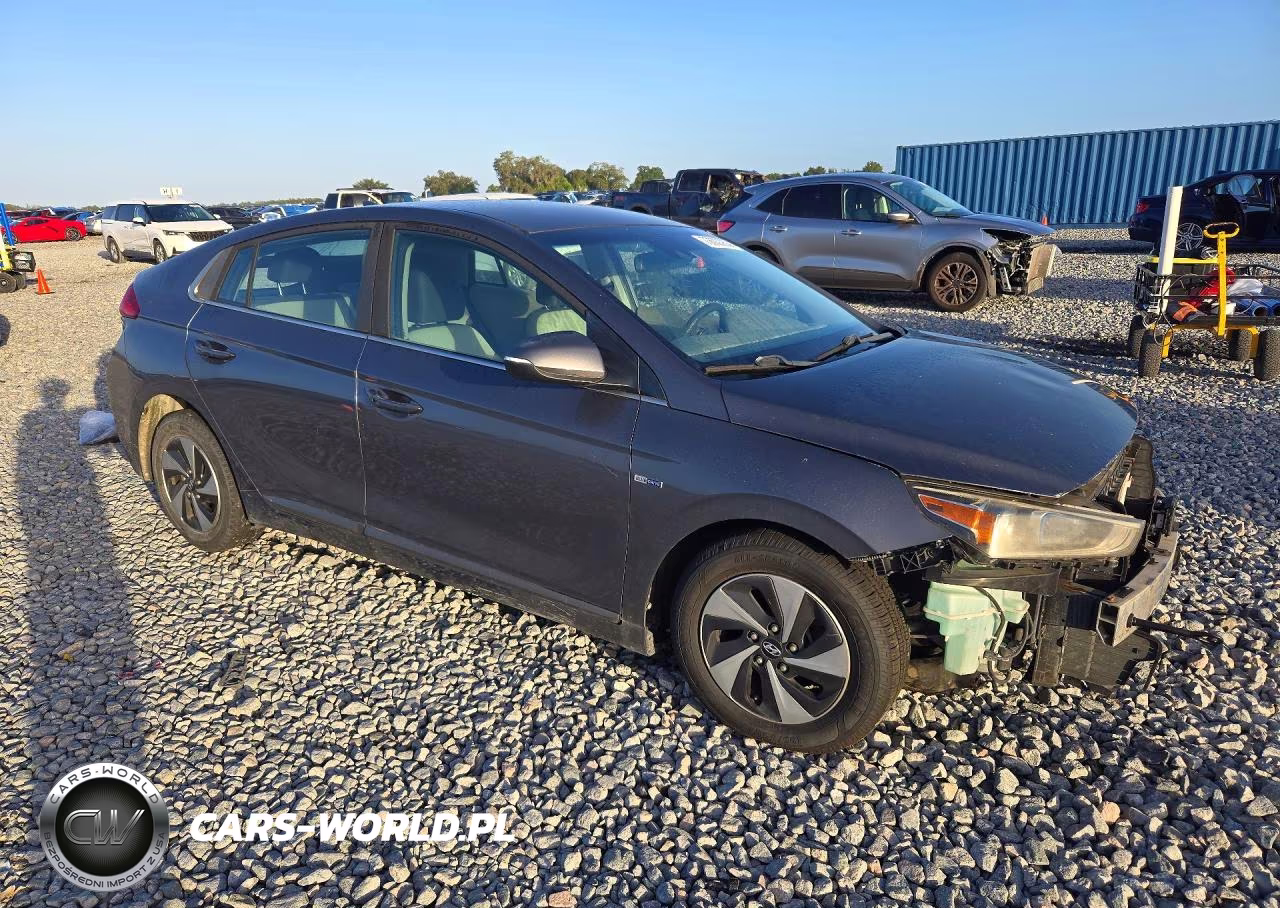 2019 Hyundai Ioniq Sel VIN:KMHC75LC2KU118795 - 4