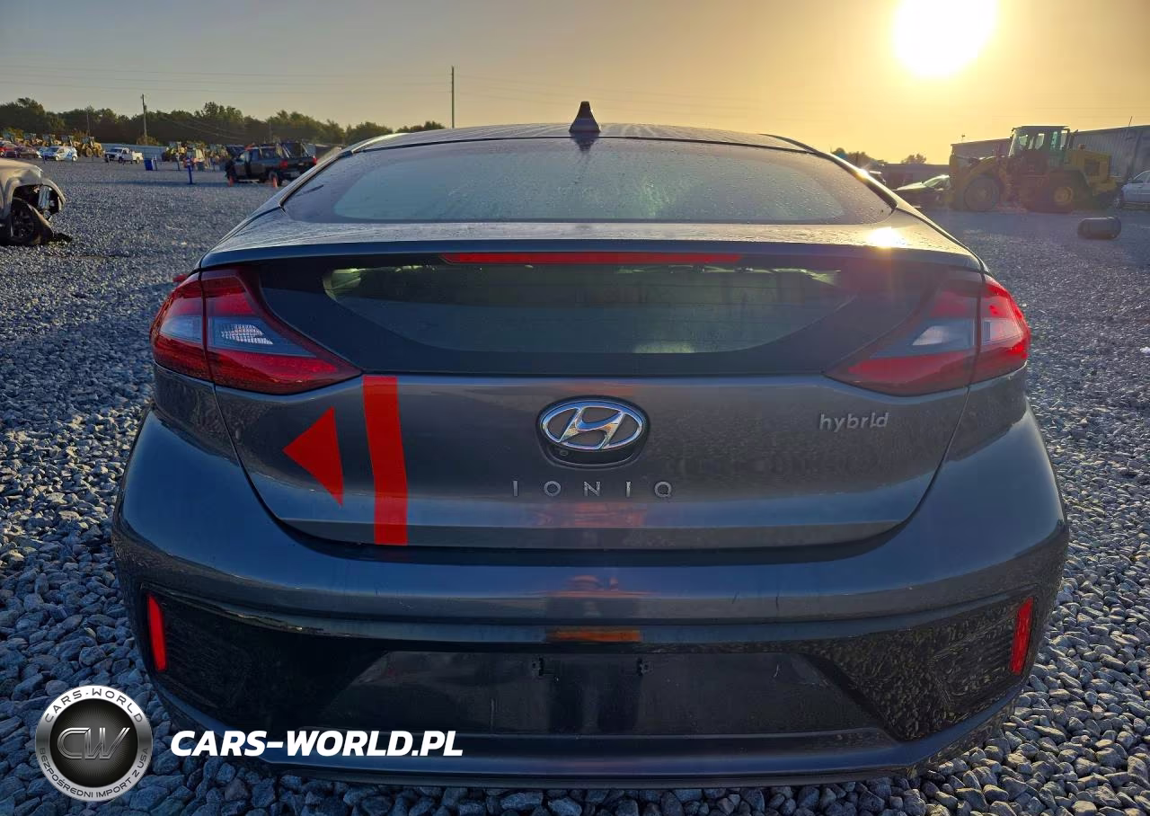 2019 Hyundai Ioniq Sel VIN:KMHC75LC2KU118795 - 6