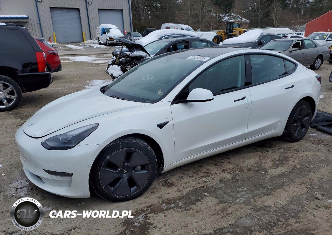 2021 Tesla Model 3