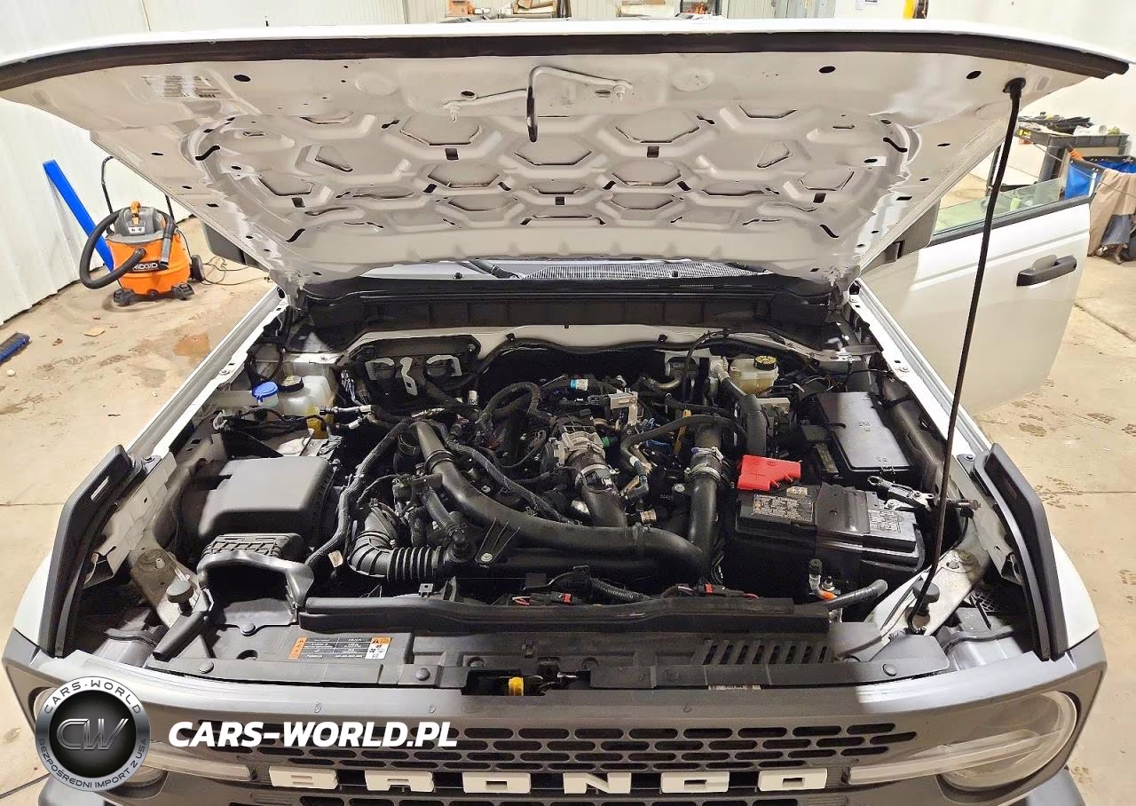 2025 Ford Bronco Badlands VIN:1FMEE9BPXSLA56823 - 12