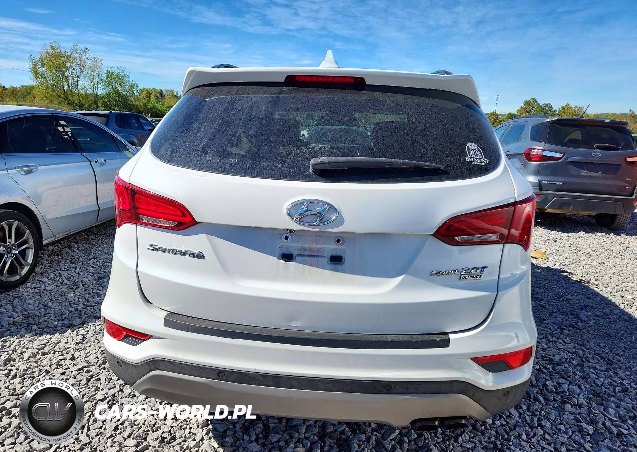 2018 Hyundai Santa Fe Sport 2.0T Ultimate VIN:5NMZW4LA1JH058993 - 6