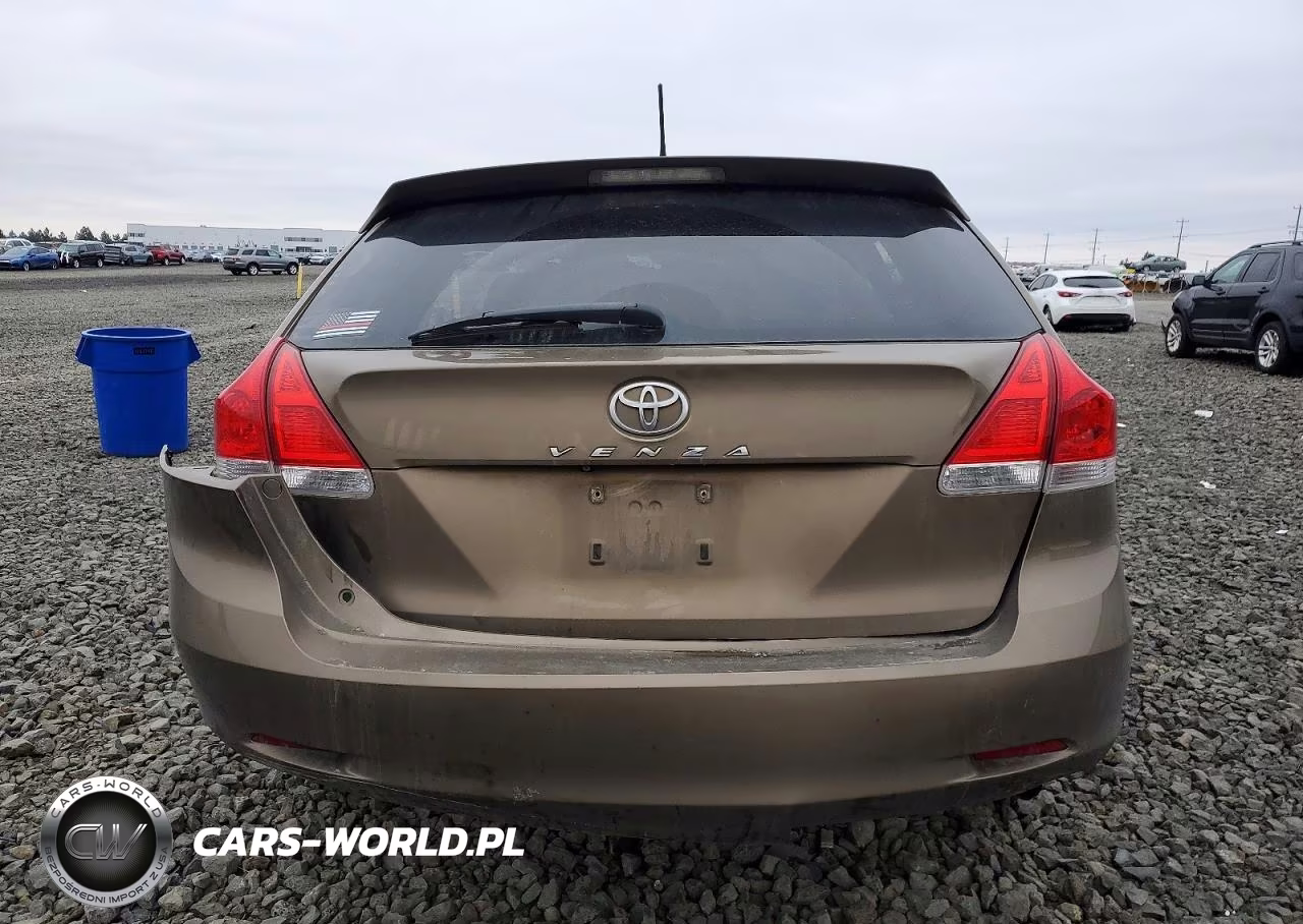 2010 Toyota Venza VIN:4T3ZK3BB8AU023699 - 6