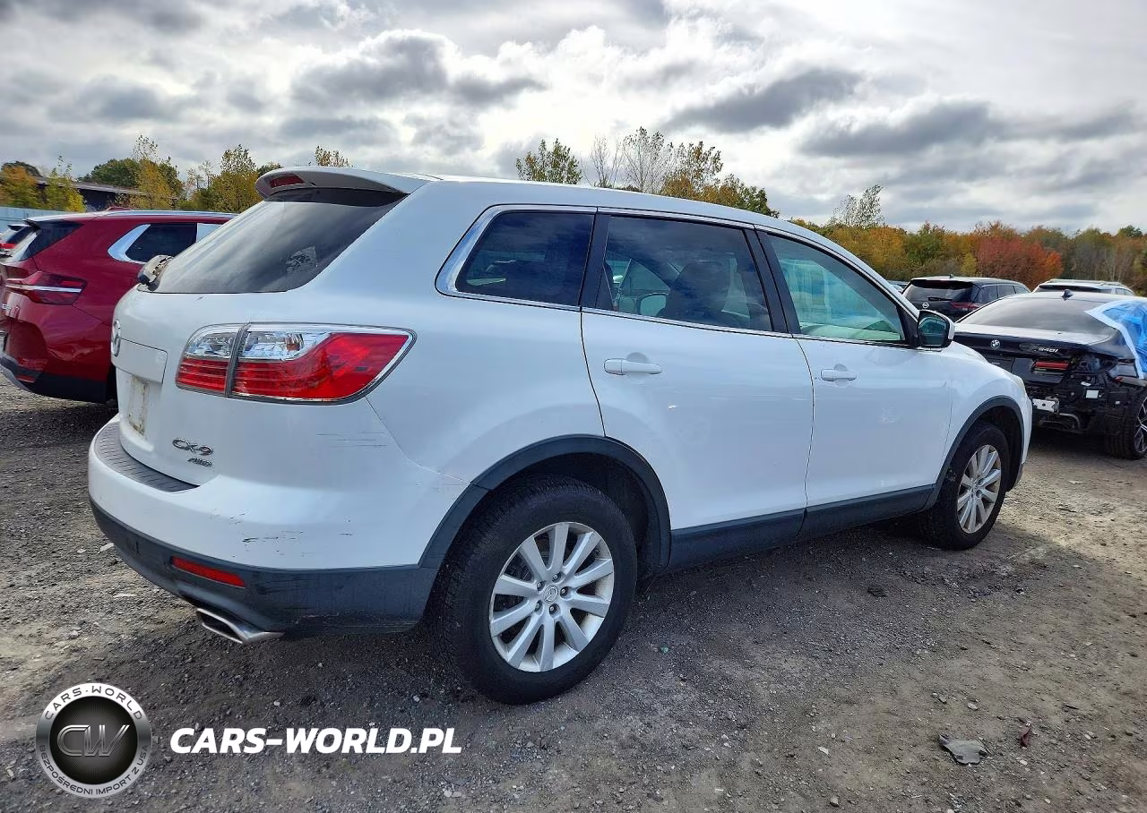 2010 Mazda Cx-9 VIN:JM3TB3MV3A0219784 - 3