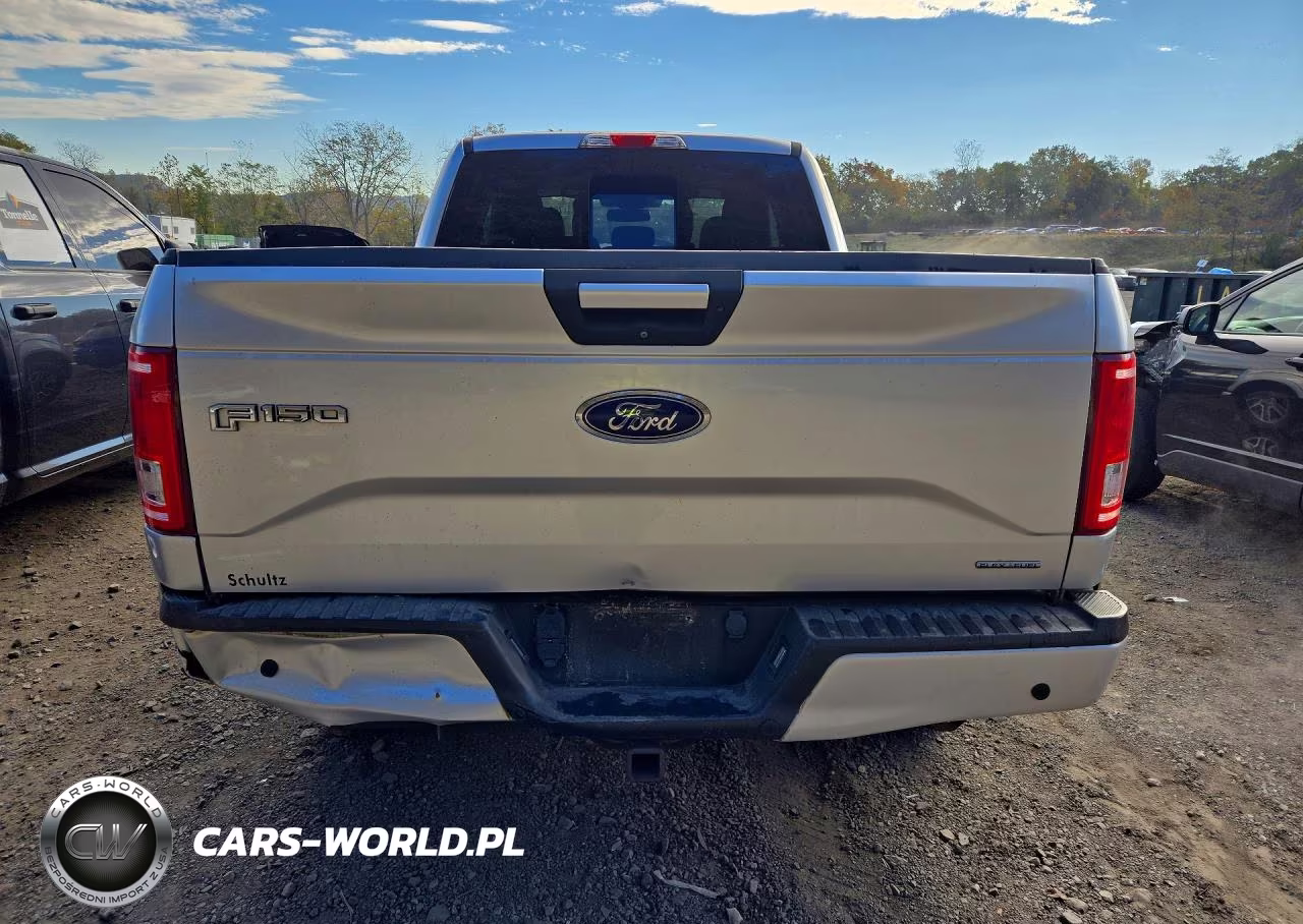 2016 Ford F150 VIN:1FTFX1EFXGFD29577 - 6