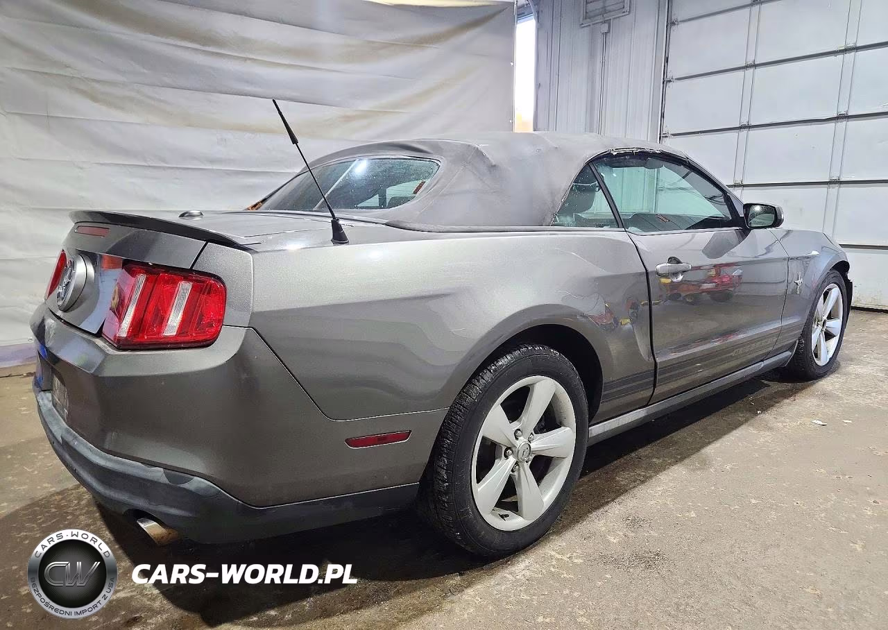 2010 Ford Mustang VIN:1ZVBP8EN8A5115051 - 3