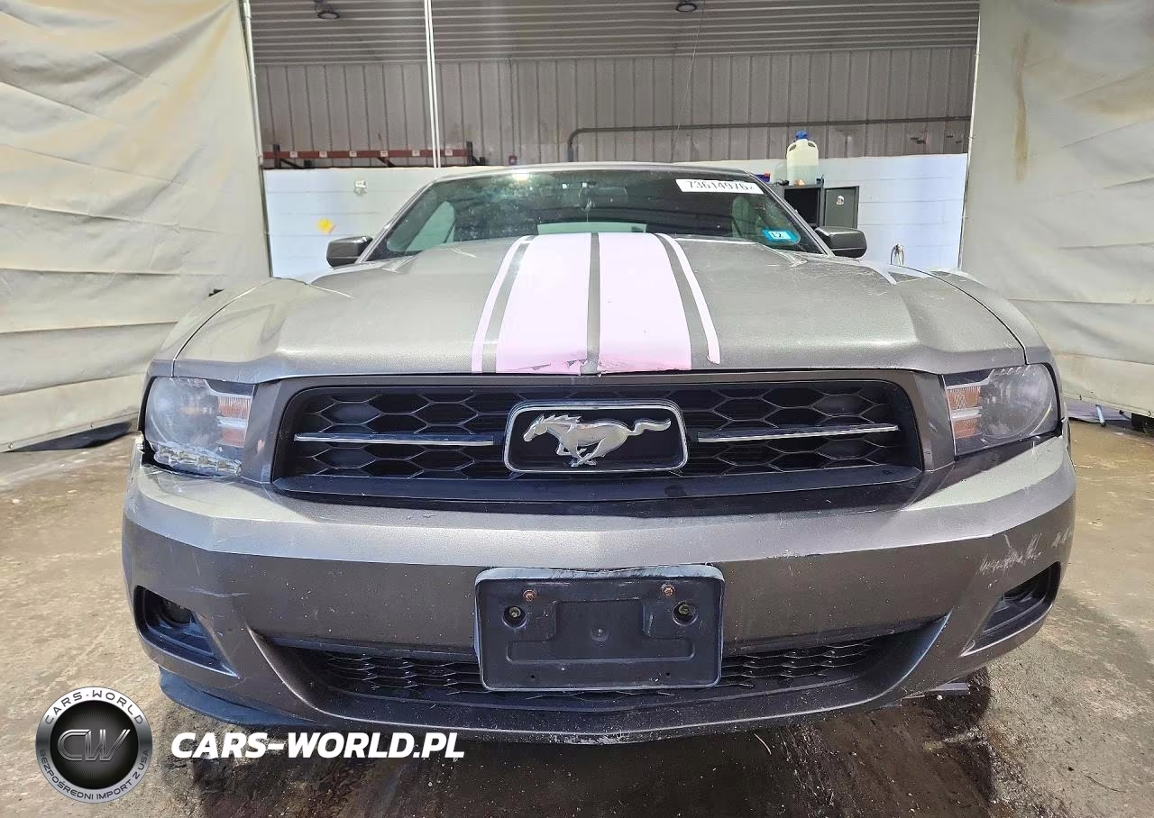 2010 Ford Mustang VIN:1ZVBP8EN8A5115051 - 5