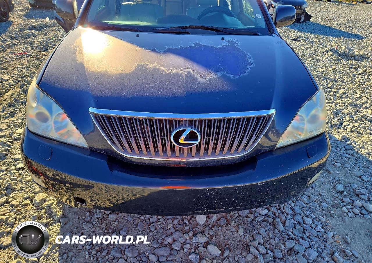 2005 Lexus Rx 330 VIN:2T2HA31U25C055268 - 12
