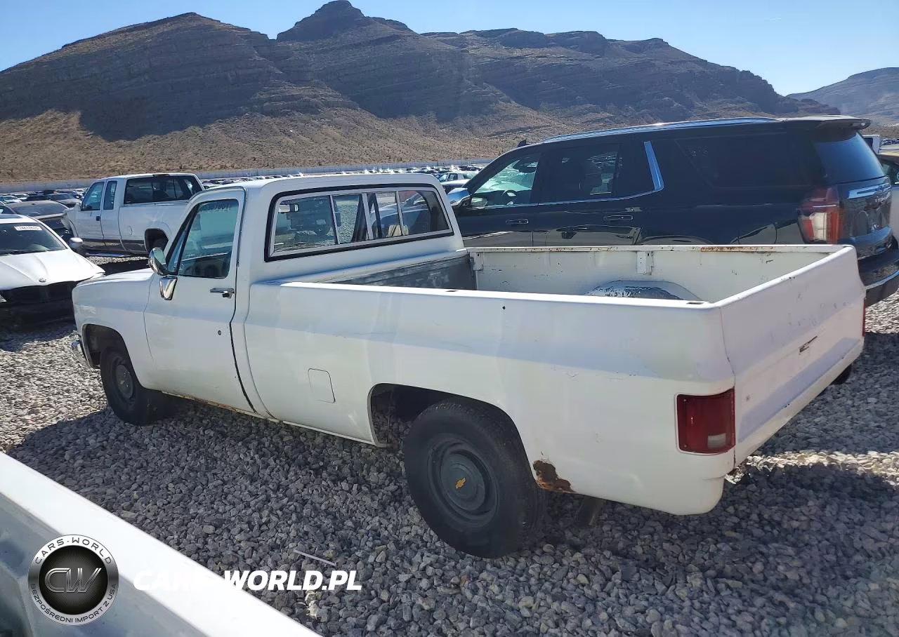 1983 GMC C1500 VIN:1GTCC14D9DJ500505 - 2